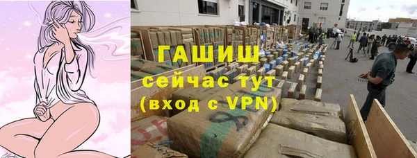 прущие грибы Армянск