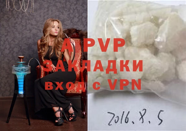 прущие грибы Армянск