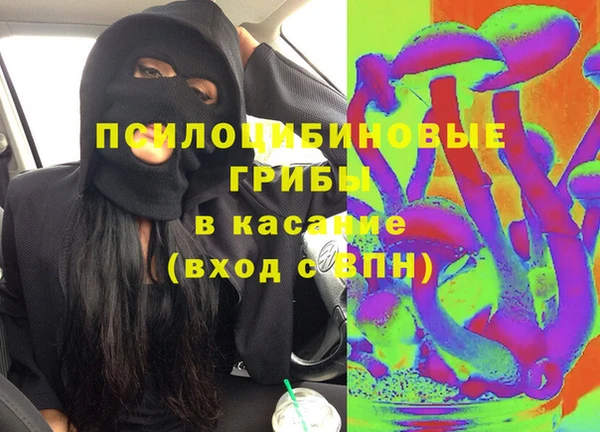 прущие грибы Армянск