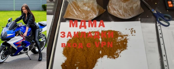 индика Алзамай