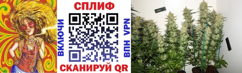 МАРИХУАНА White Widow Удомля
